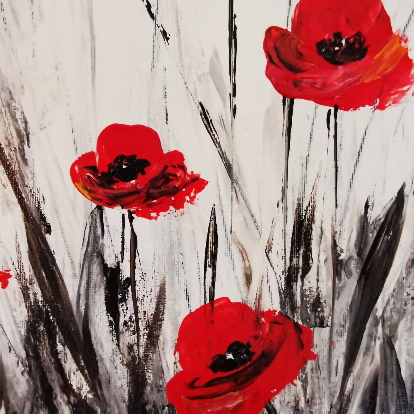 Le Souffle des Coquelicots