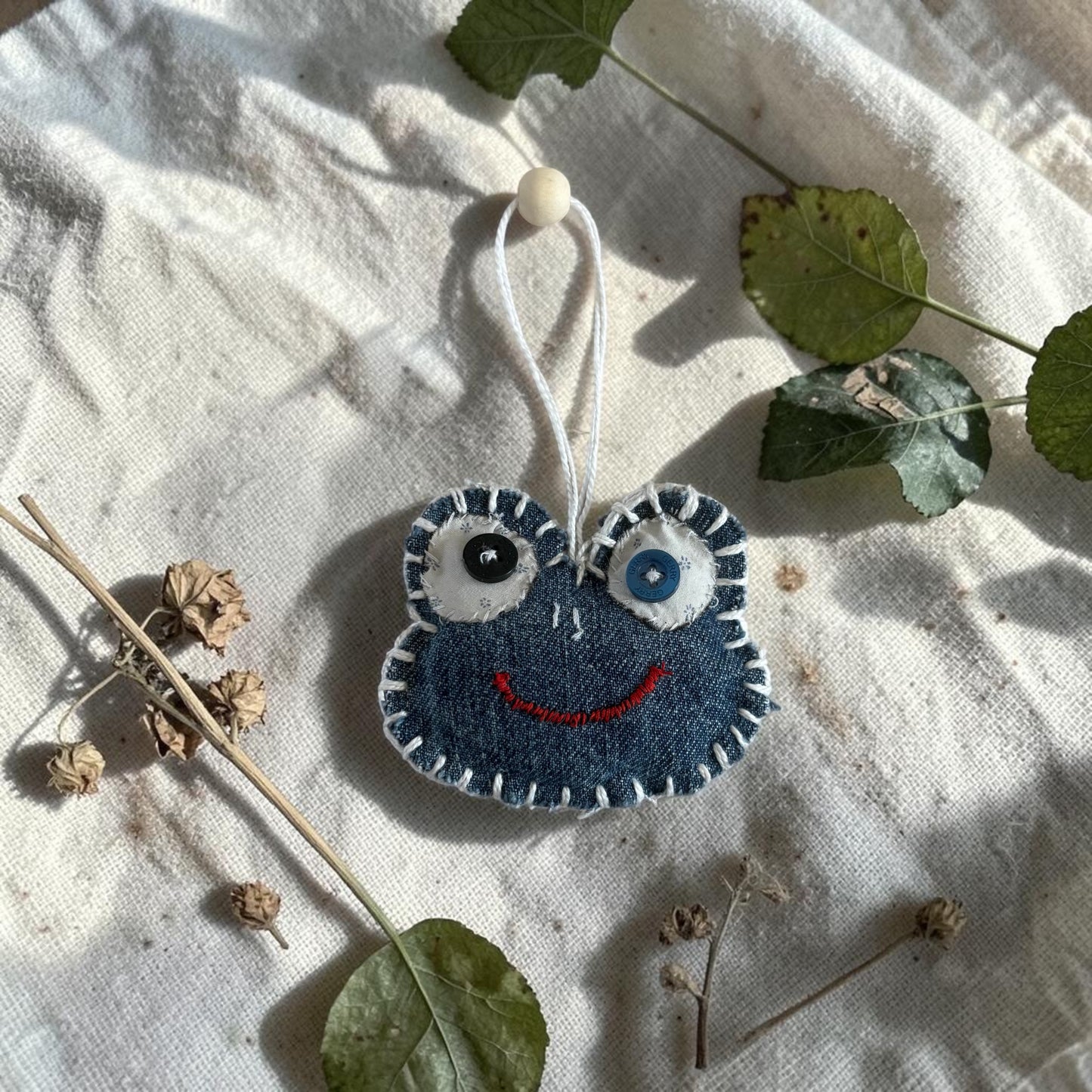 Mr Frog